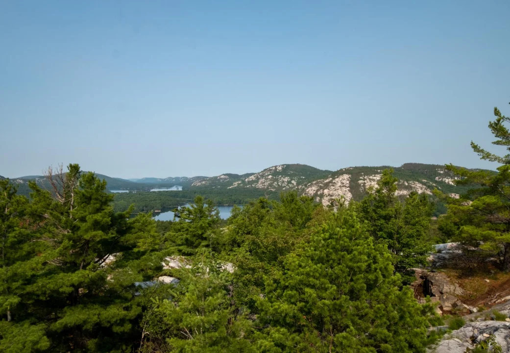 Plaża i wybrzeże — wakacje w Kamenjak — naturalny park Istria Chorwacja
