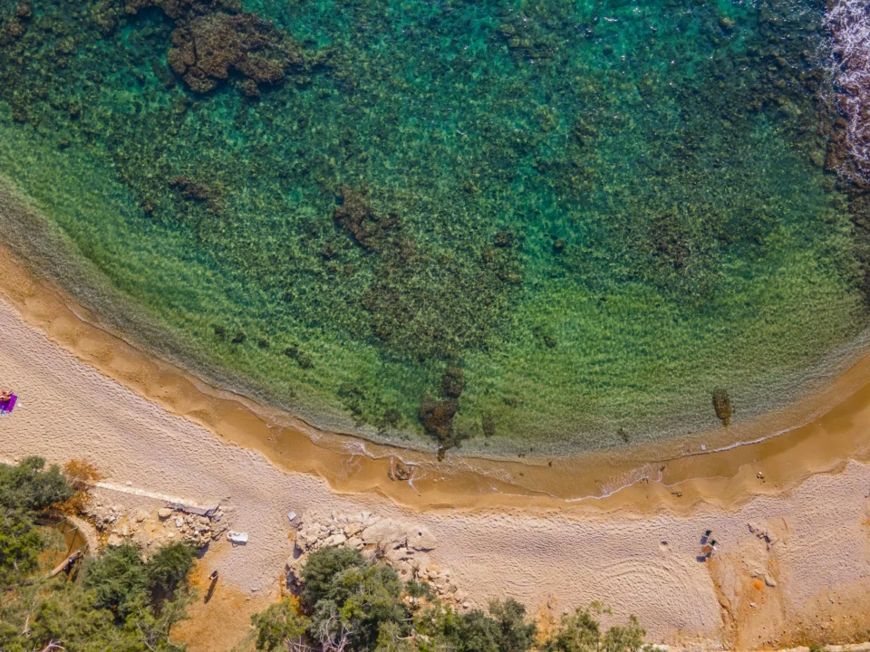 Plaża i wybrzeże — wakacje w Karaibska plaża Ayia Napa Cypr