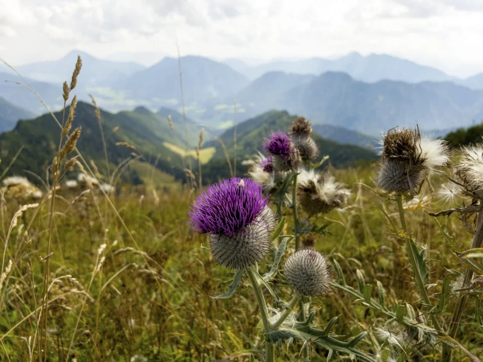 Góry i natura — Karkonoski Park Narodowy Czeskie Karkonosze Czechy