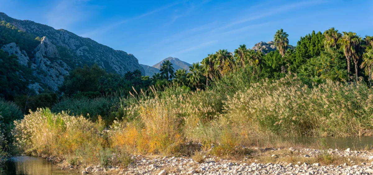 Góry i natura — Kemer Turcja