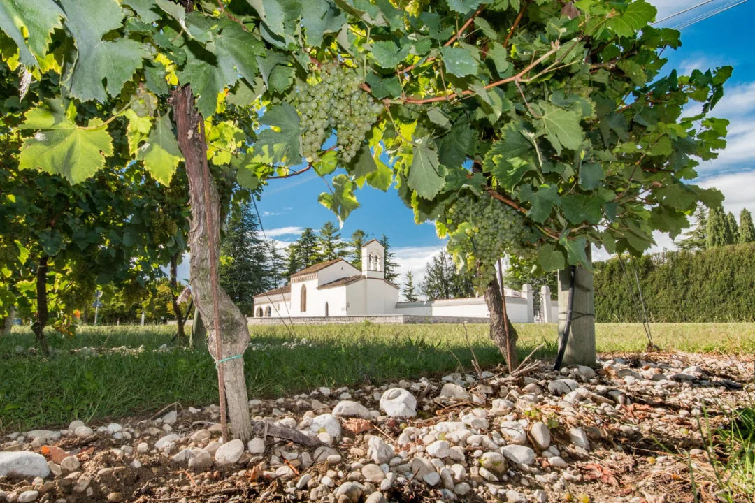 Atrakcje turystyczne — Klasztor w Ardenicach Albania Centralna Albania