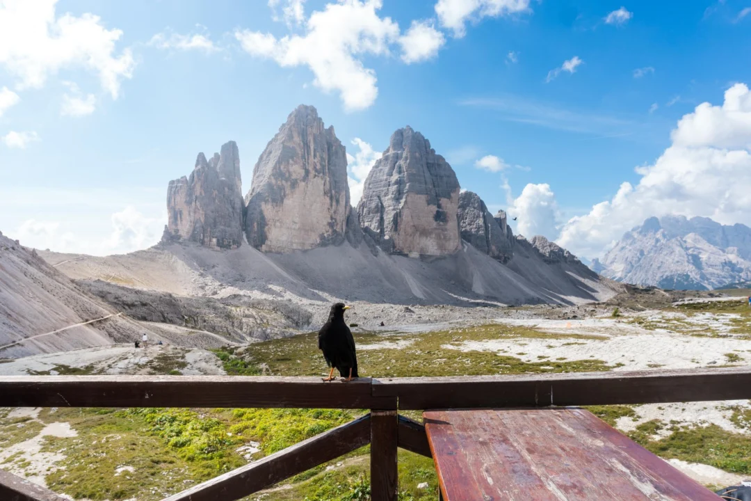 Kurort i widoki — Kolejka linowa Seceda Południowy Tyrol Włochy