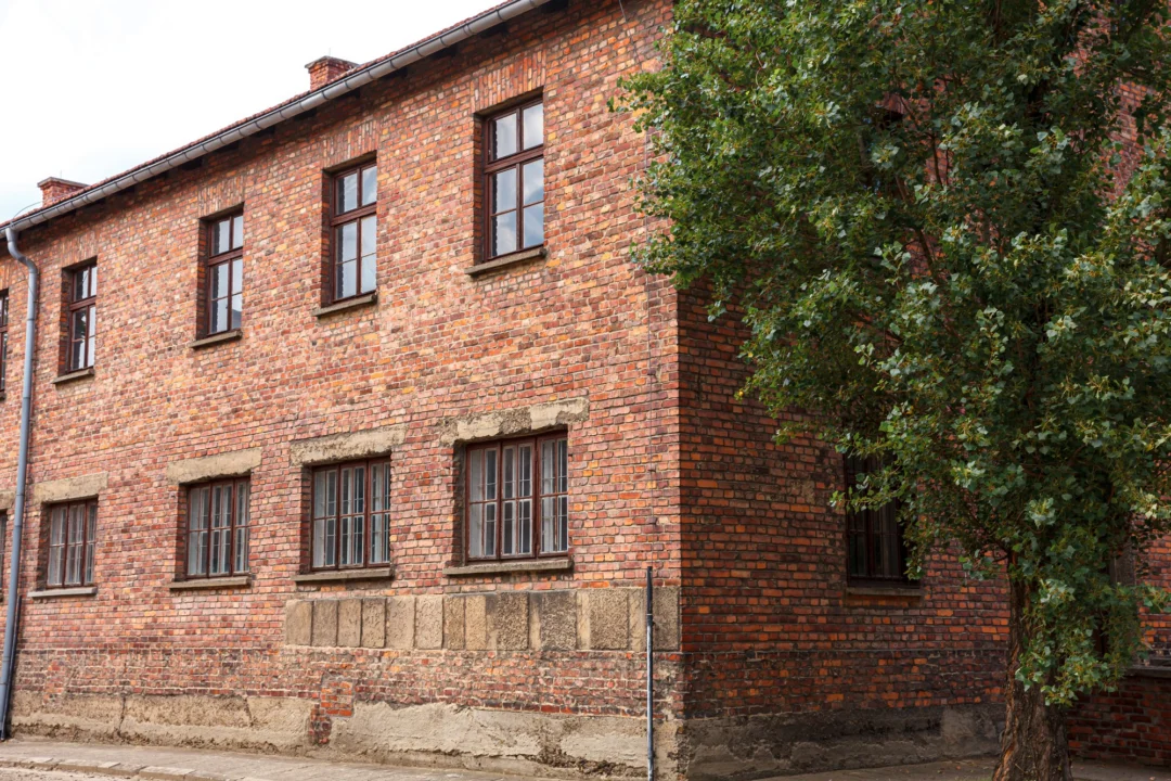 Góry i natura — Kraków Polska