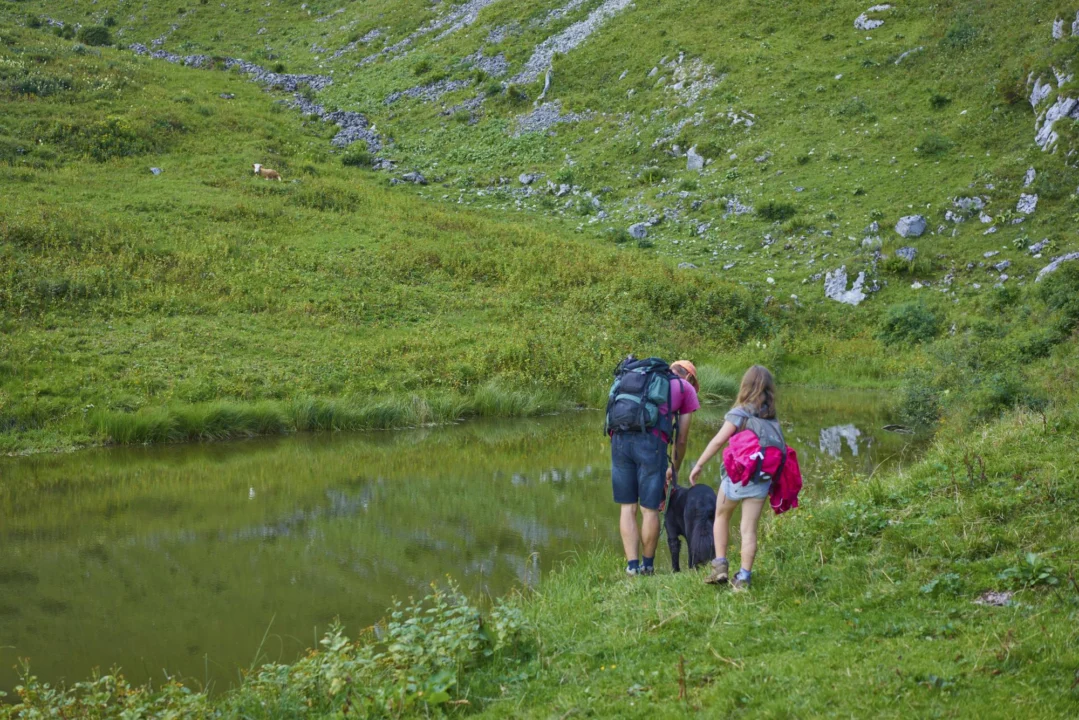 Góry i natura — Kryształowe Jezioro Karyntia Austria
