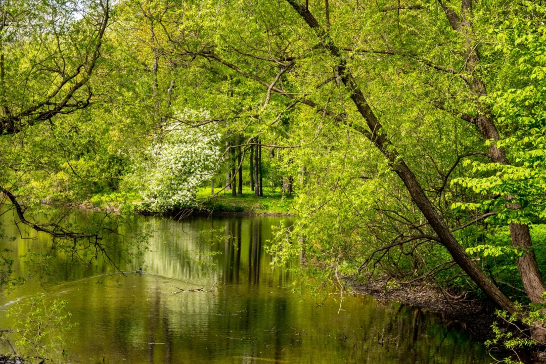 Plaża i wybrzeże — wakacje w Książański Park Krajobrazowy Dolny Śląsk Polska