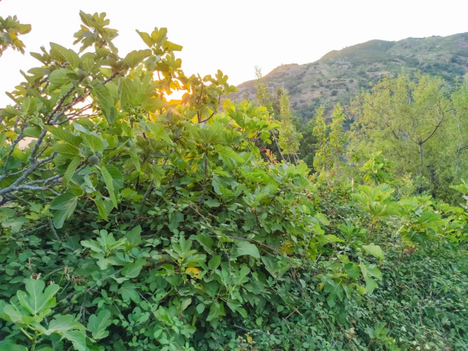Atrakcje turystyczne — La Palma Hiszpania
