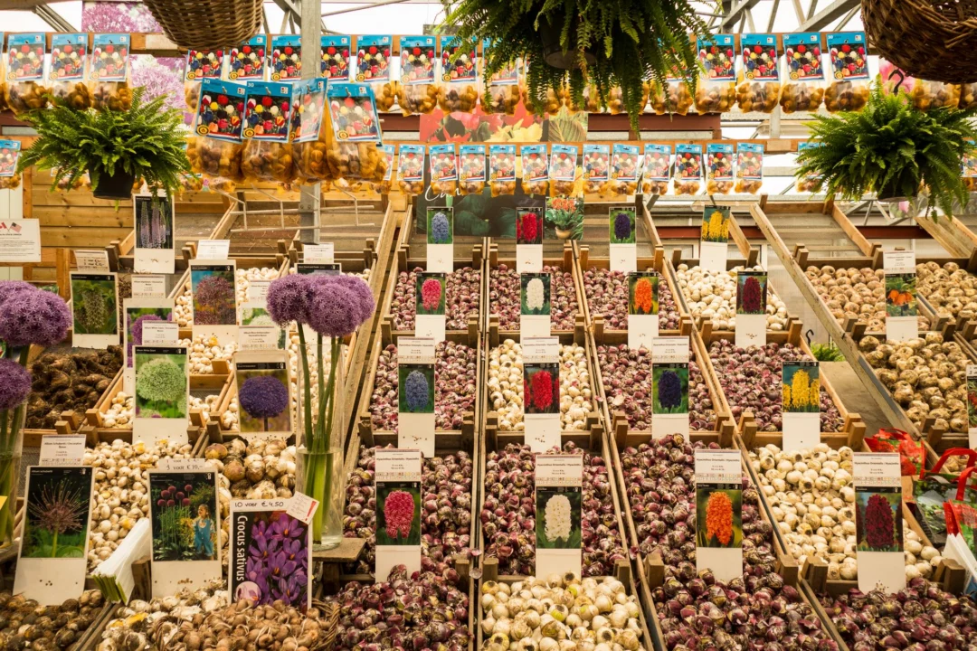 Miasto i architektura — Las Palmas de Gran Canaria Gran Canaria Hiszpania