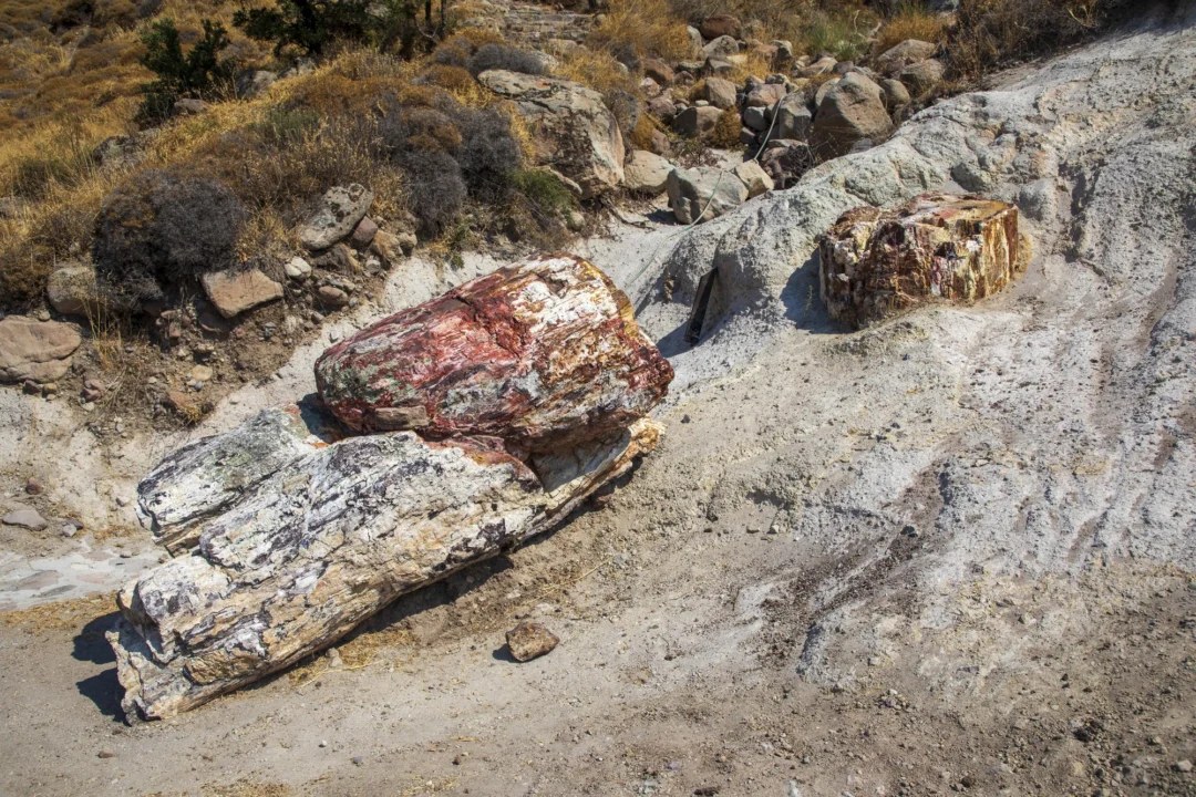 Kurort i widoki — Lesbos Grecja