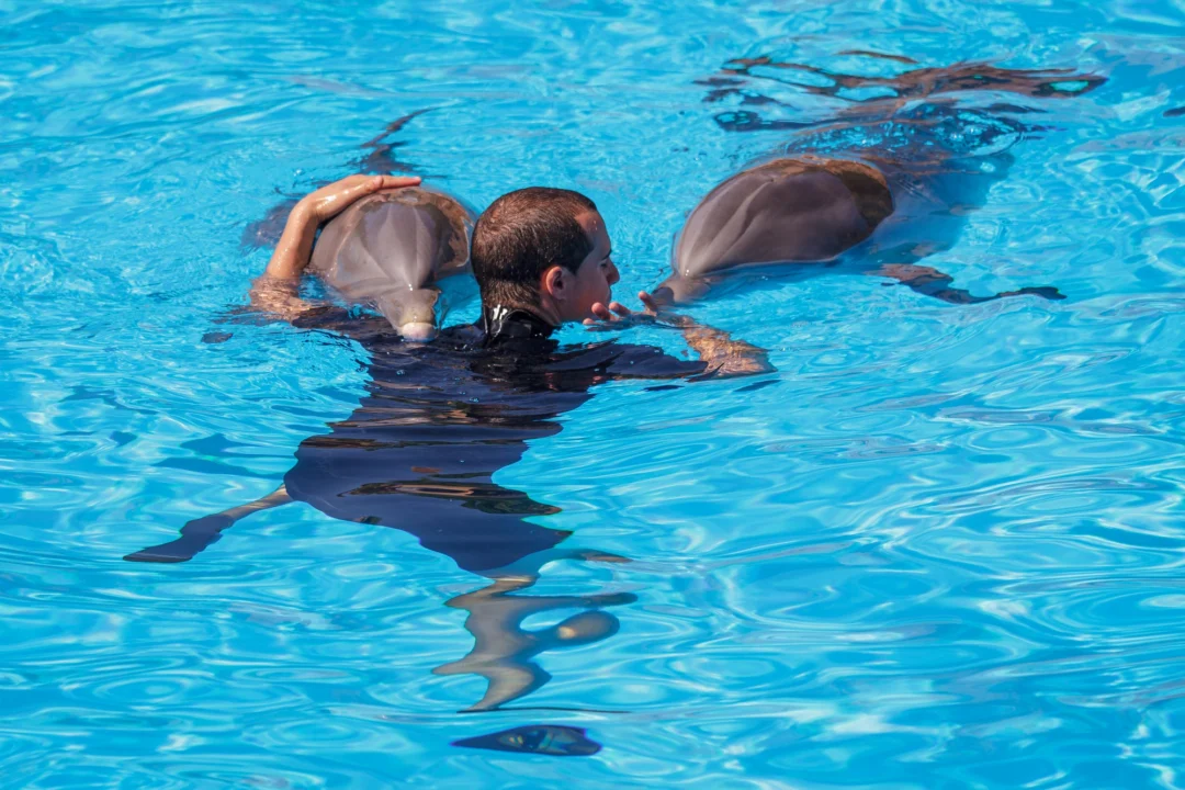 Góry i natura — Loro Parque Teneryfa Hiszpania