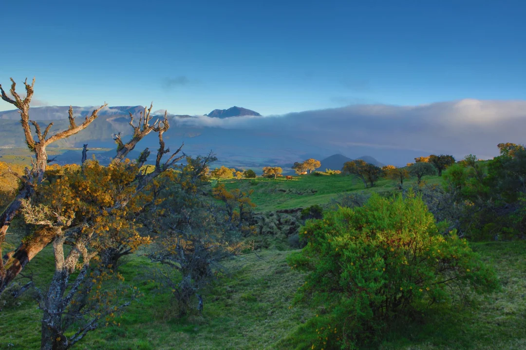 Miasto i architektura — Los Llanos de Aridane La Palma Hiszpania