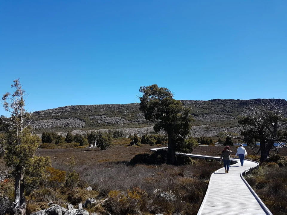 Góry i natura — Los Tilos La Palma Hiszpania