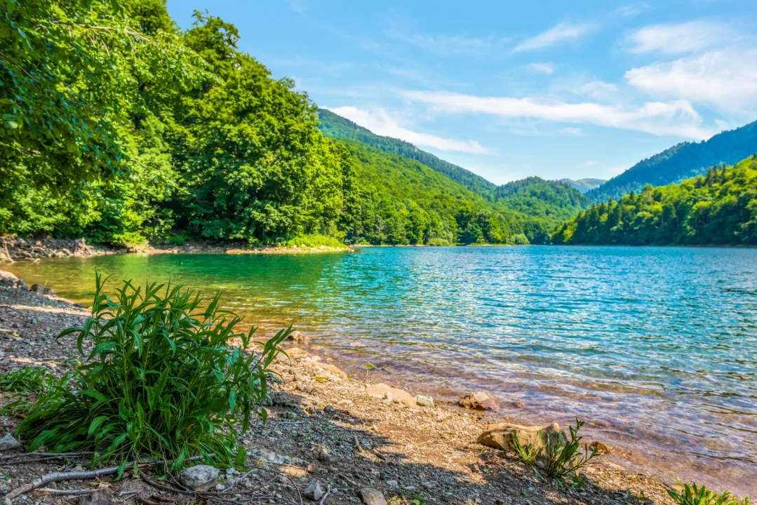Plaża i wybrzeże — wakacje w Macedonia Zachodnia Czarnogóra