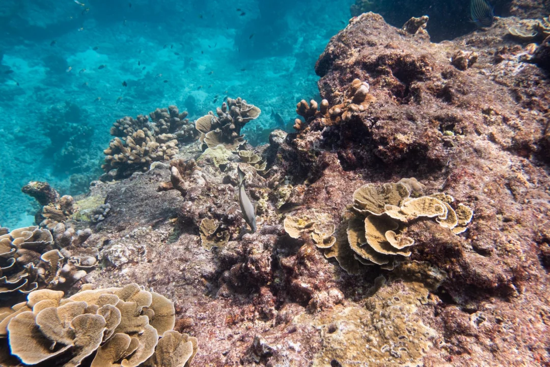 Góry i natura — Marsa Alam Egipt
