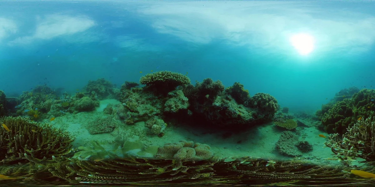 Kurort i widoki — Marsa Alam Egipt