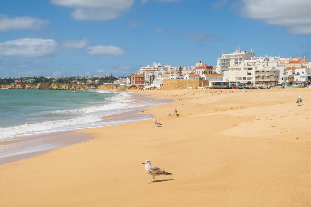 Góry i natura — Miasteczko Conil de la Frontera Costa de la Luz Hiszpania