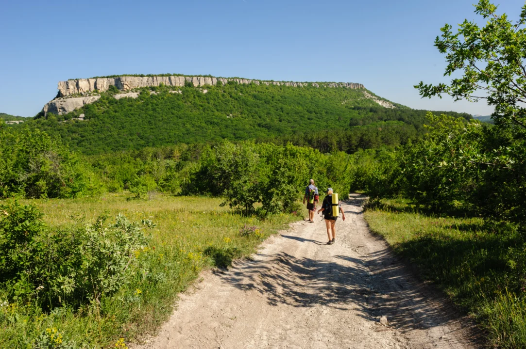 Atrakcje turystyczne — Motovun — średniowieczne wzgórze Istria Chorwacja