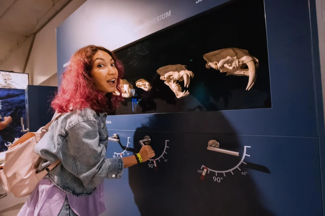 Góry i natura — Muse — Museo delle Scienze Trentino Włochy