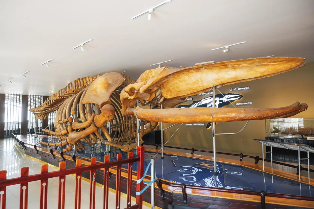 Plaża i wybrzeże — wakacje w Muzeum Historii Naturalnej Panama Północna Hiszpania