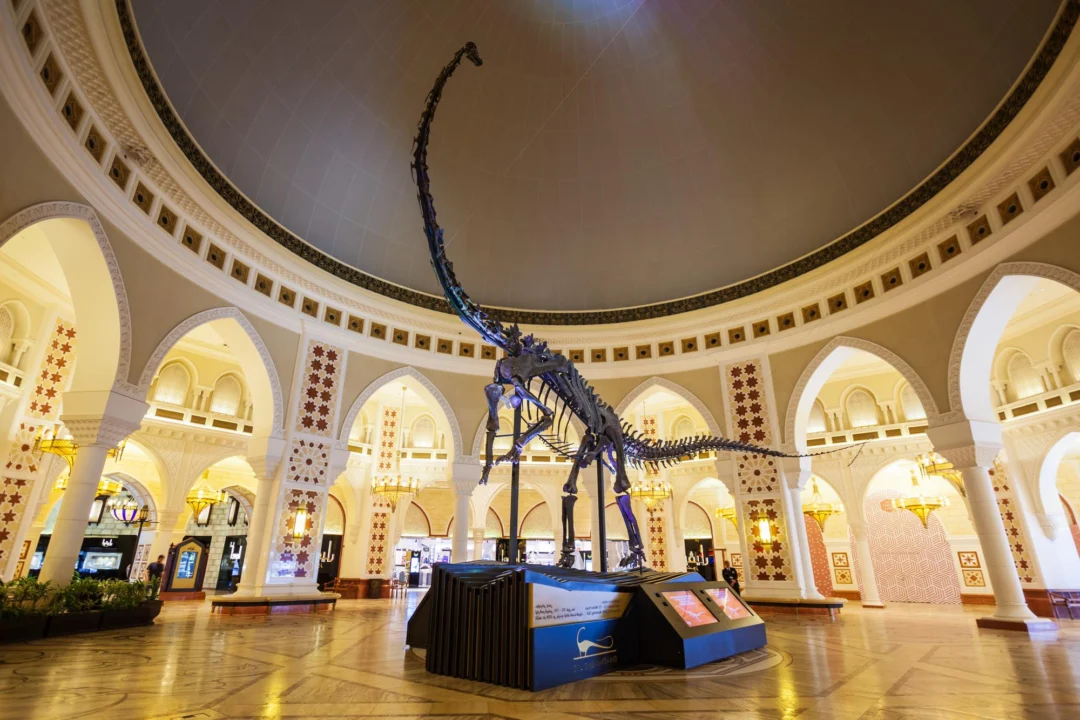 Miasto i architektura — Muzeum Historii Naturalnej w Tiranie Albania Centralna Albania
