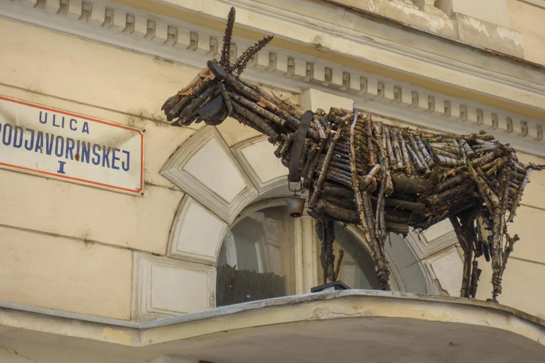 Plaża i wybrzeże — wakacje w Muzeum Historii Naturalnej Złote Piaski Bułgaria