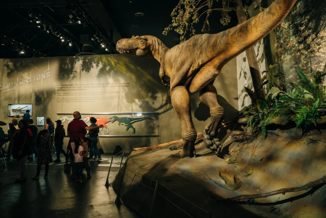 Atrakcje turystyczne — Muzeum Historii Naturalnej Złote Piaski Bułgaria