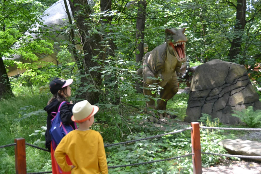 Góry i natura — Muzeum Magurskiego Parku Narodowego Beskid Niski Polska
