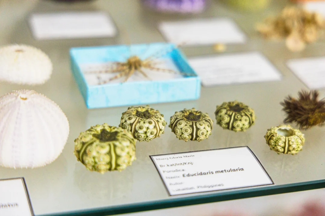 Góry i natura — Muzeum Morskie Ayia Napa Cypr
