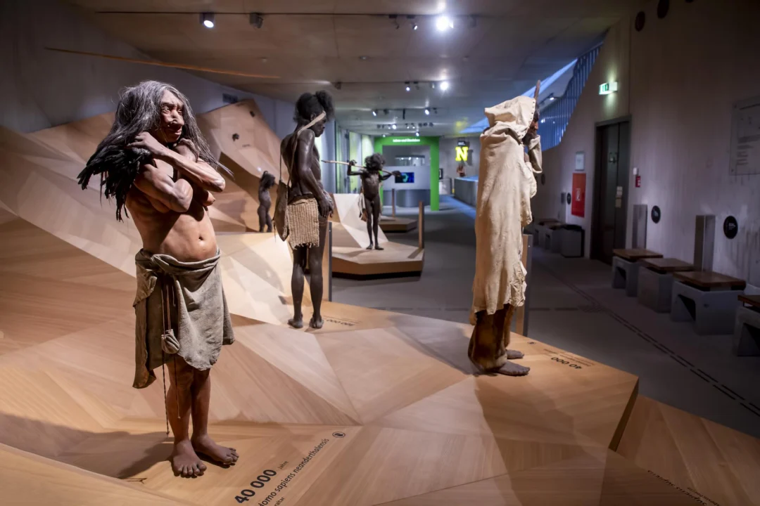 Atrakcje turystyczne — Muzeum Neandertalczyków Chorwacja Środkowa Chorwacja
