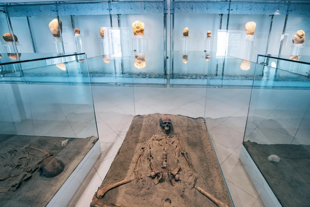 Miasto i architektura — Muzeum Neandertalczyków Chorwacja Środkowa Chorwacja