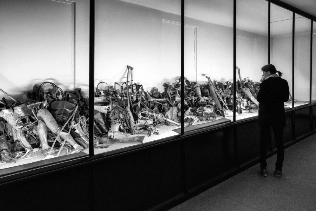 Góry i natura — Muzeum Powstania Warszawskiego Warszawa Polska