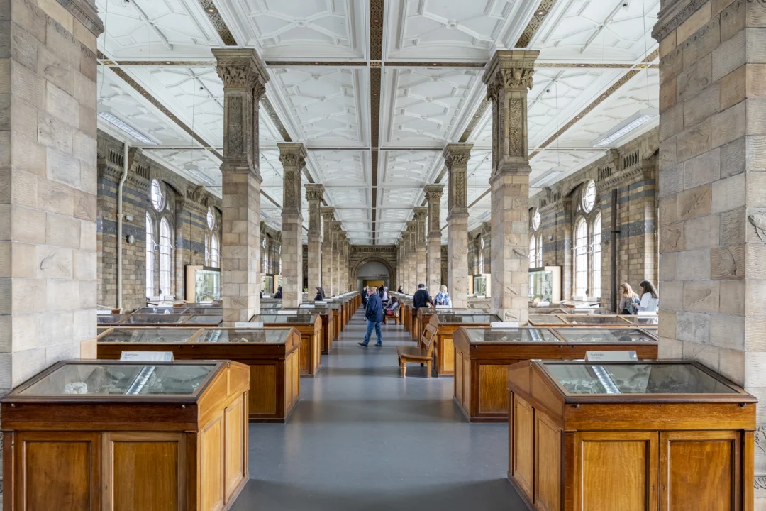 Plaża i wybrzeże — wakacje w Muzeum Sztuki w Łodzi Łódź Polska