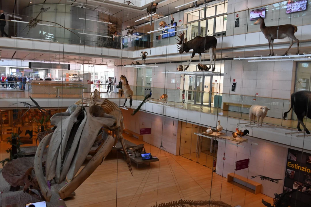 Góry i natura — Muzeum Techniki Wiedeń Austria