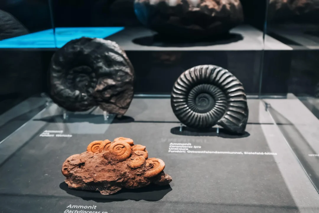 Góry i natura — Muzeum w Kowarach Góry Orlickie Czechy