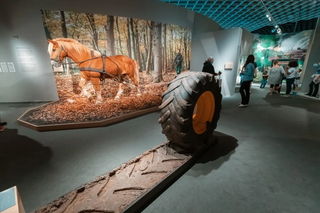 Atrakcje turystyczne — Muzeum Wigier w Wigrach Podlasie Polska