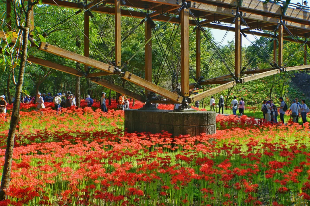Atrakcje turystyczne — Ogród Botaniczny Kopenhaga Dania