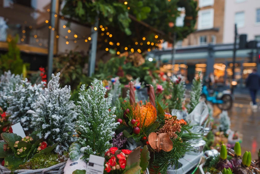 Kurort i widoki — Ogród Botaniczny Kopenhaga Dania