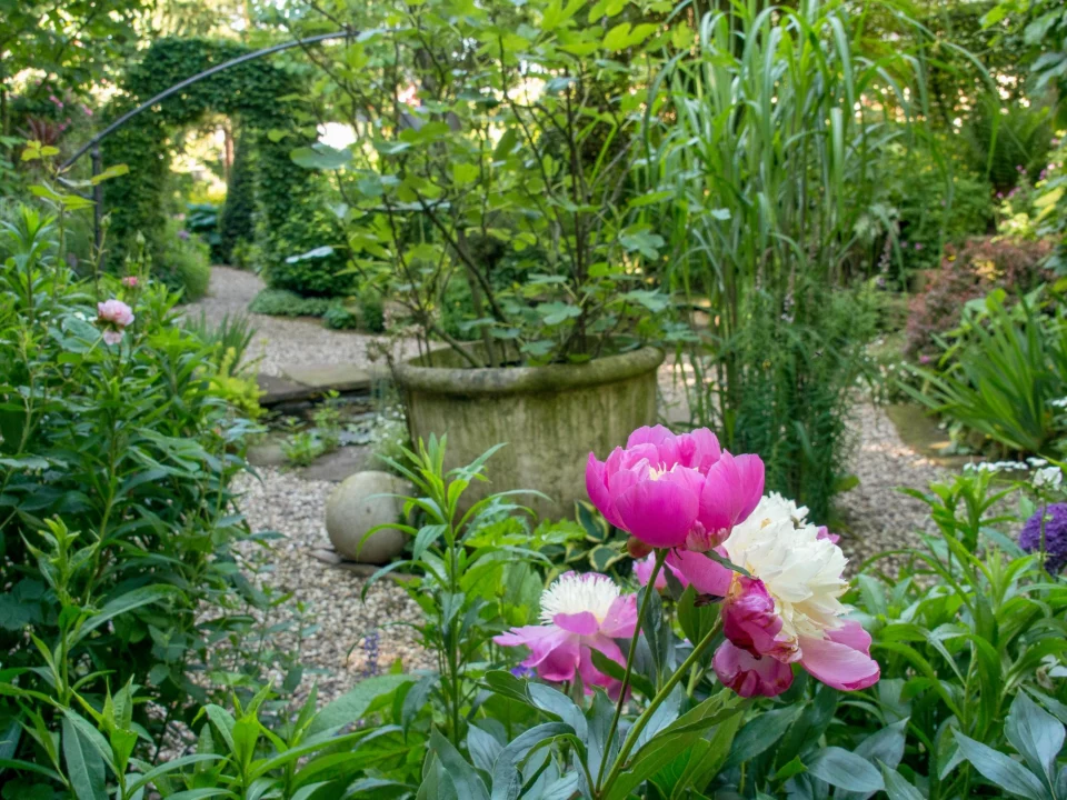 Góry i natura — Ogród Botaniczny Kraków Polska
