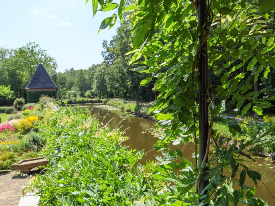 Kurort i widoki — Ogród Botaniczny Kraków Polska