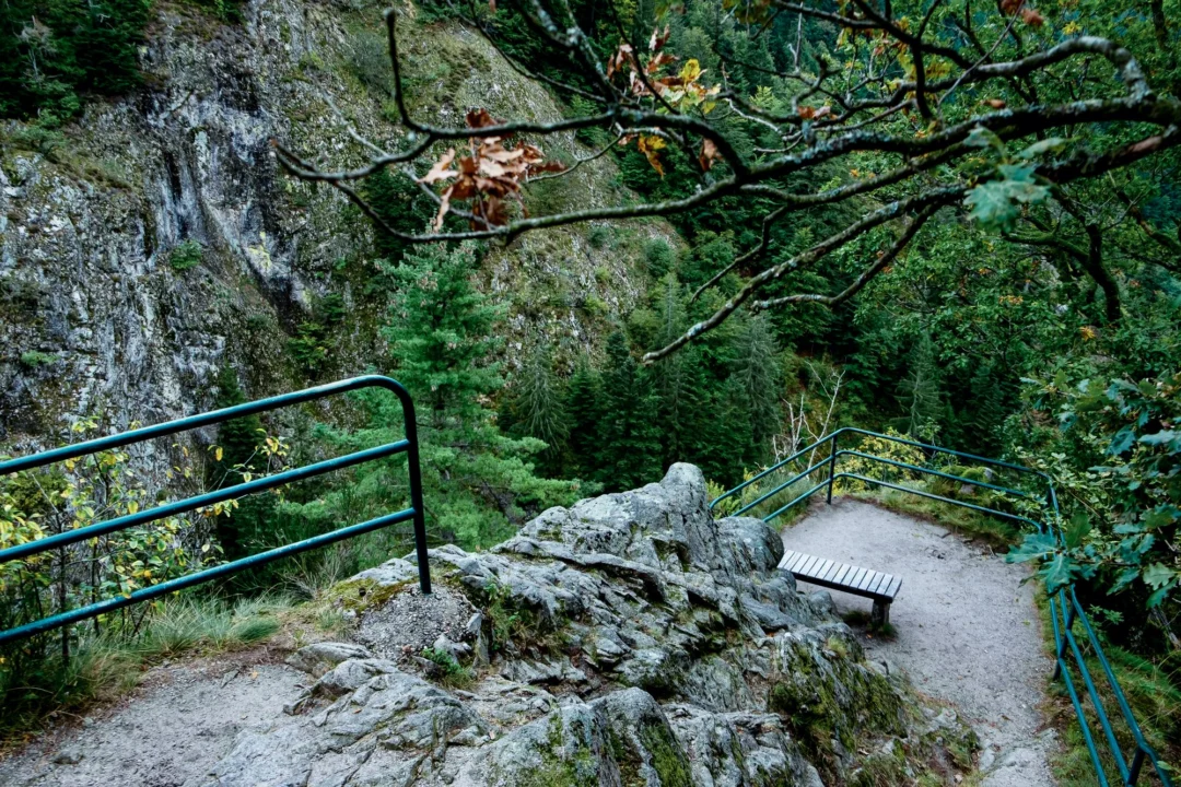 Atrakcje turystyczne — Ojcowski Park Narodowy Jura Krakowska Polska