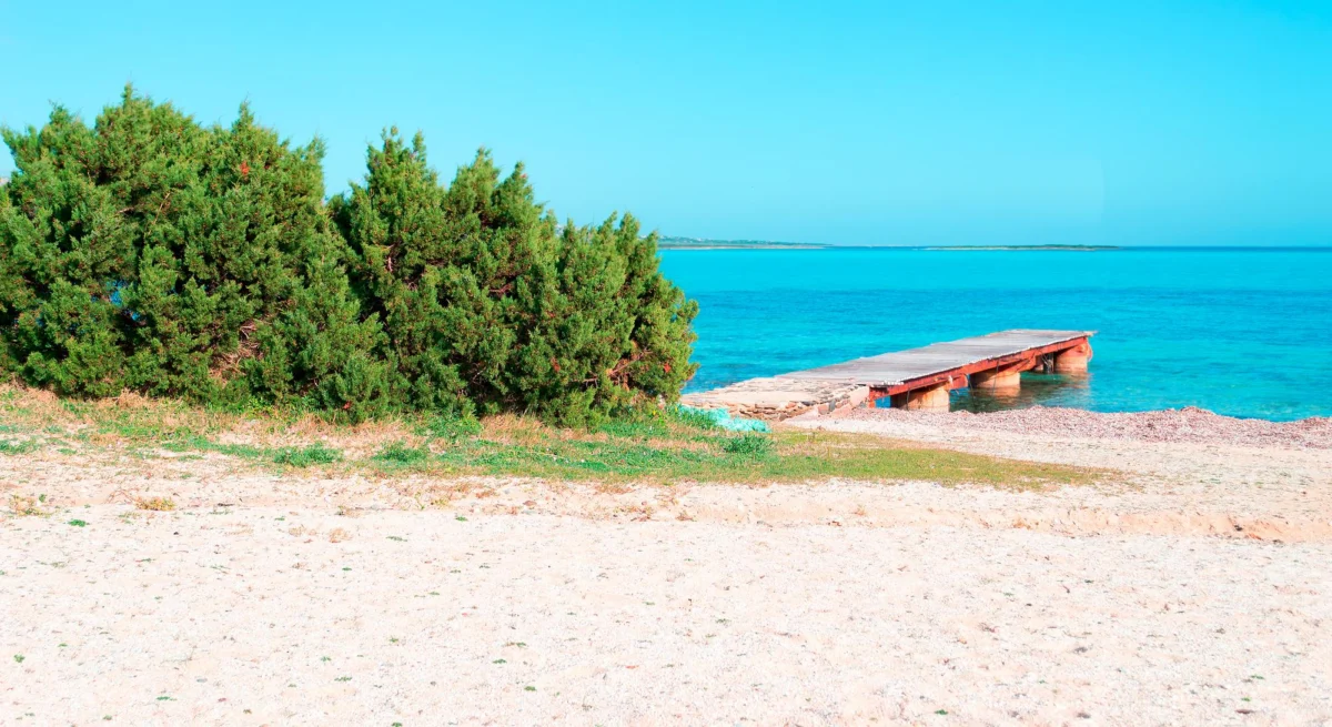 Atrakcje turystyczne — Paestum Kampania Włochy