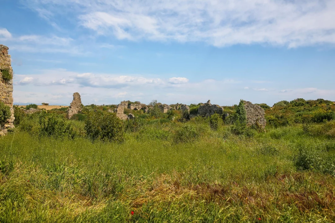 Góry i natura — Pałac w Zawichoście Kotlina Sandomierska Polska