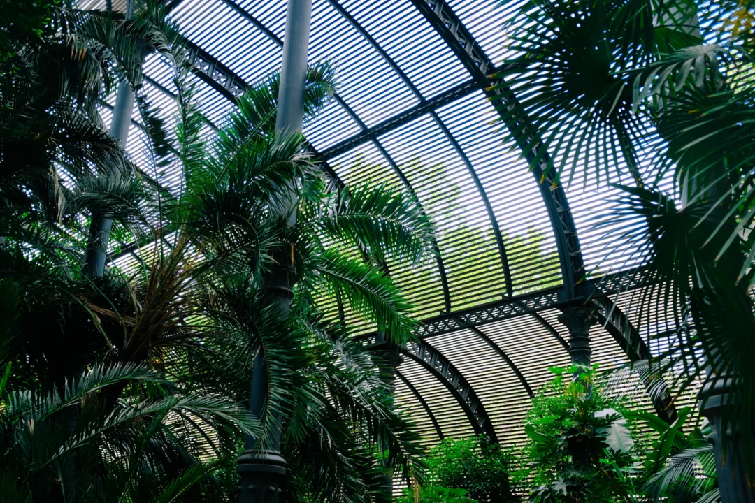 Atrakcje turystyczne — Palmiarnia Poznańska Poznań Polska