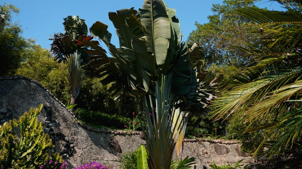 Miasto i architektura — Palmitos Park Gran Canaria Hiszpania