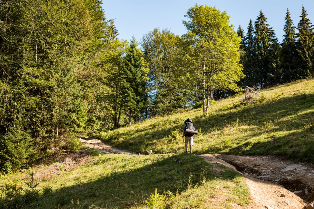 Góry i natura — Panorama Beskidów — niezapomniane widoki Beskidy Zachodnie Polska