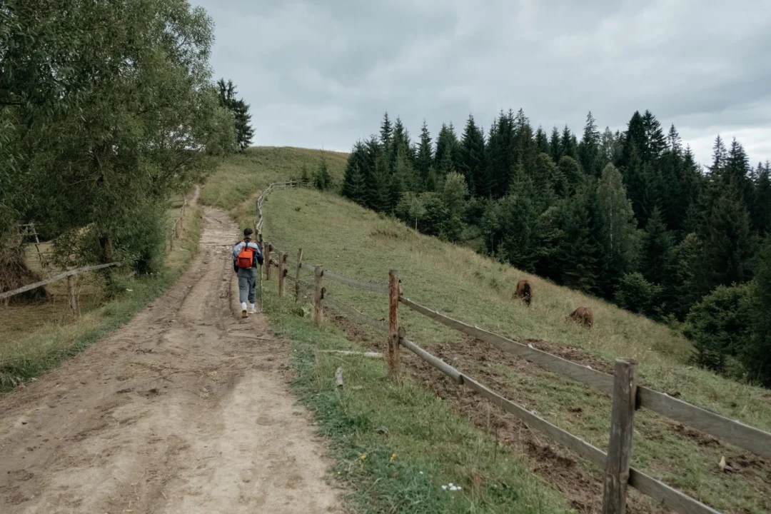 Miasto i architektura — Panorama Beskidów — niezapomniane widoki Beskidy Zachodnie Polska