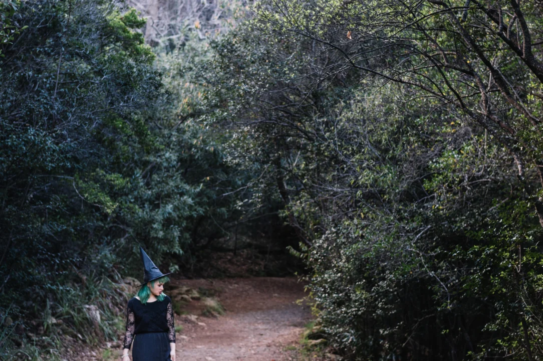Góry i natura — Park Narodowy Garajonay La Gomera Hiszpania