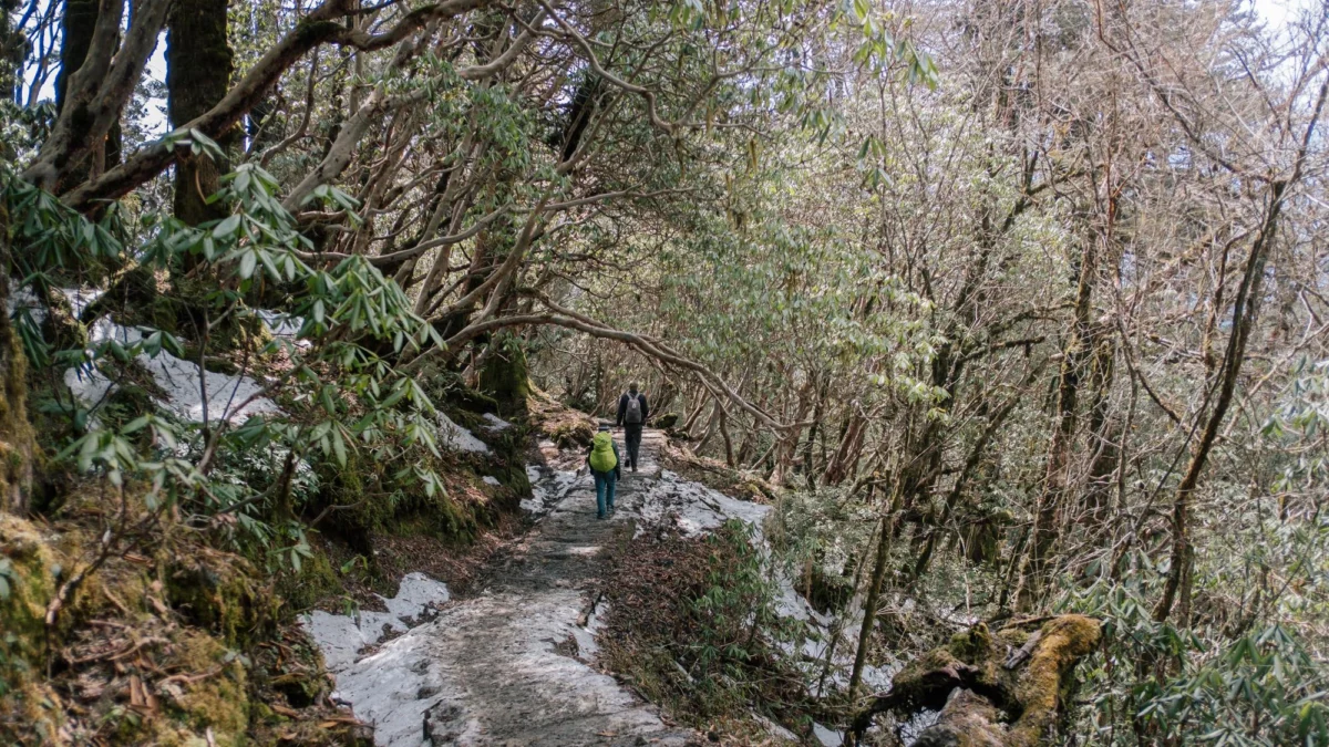 Miasto i architektura — Park Narodowy Garajonay La Gomera Hiszpania