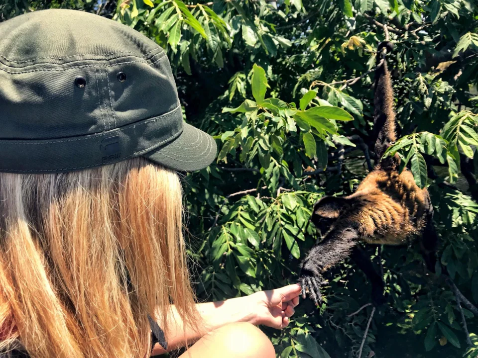 Kurort i widoki — Park Narodowy Garajonay La Gomera Hiszpania
