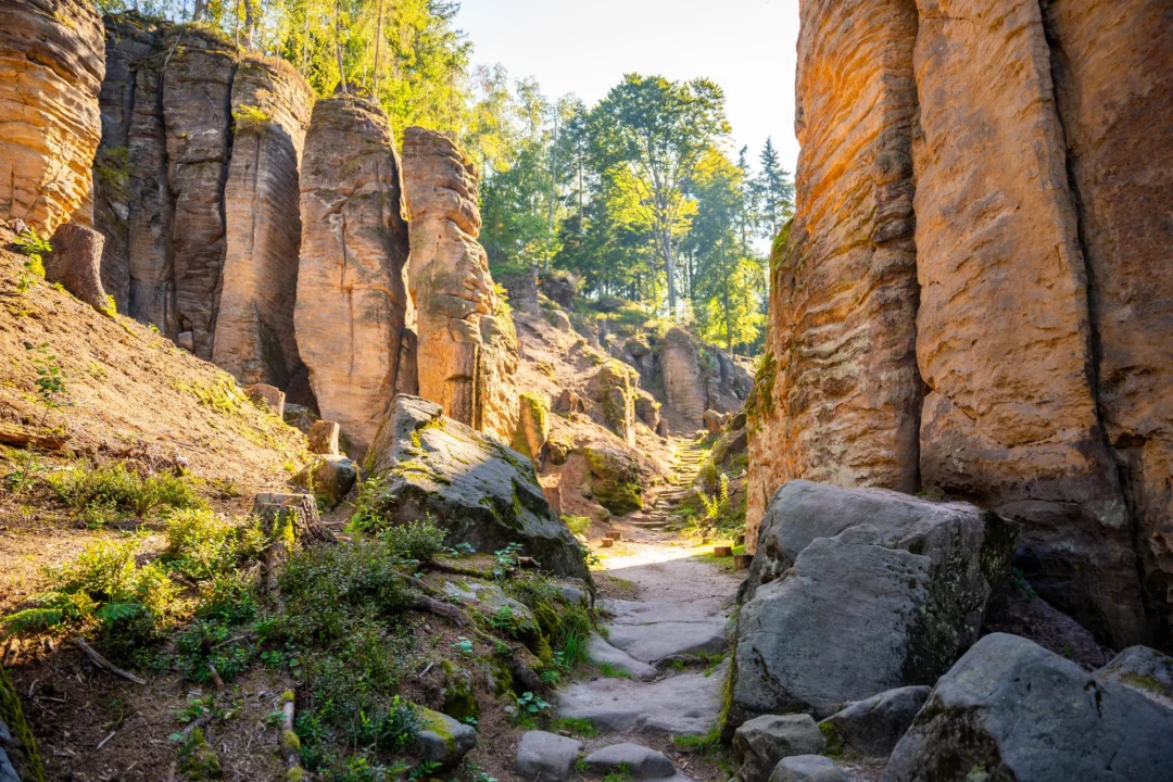 Góry i natura — Park Narodowy Gór Stołowych Sudety Polska