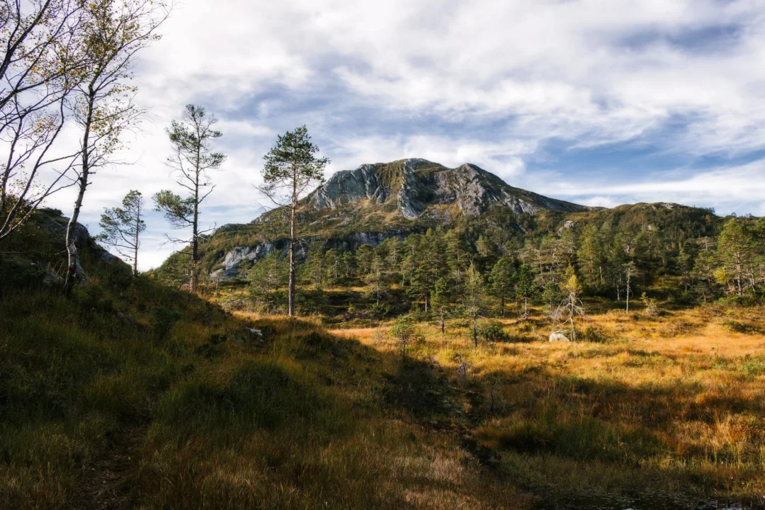 Plaża i wybrzeże — wakacje w Park Narodowy Kalkalpen Górna Austria Austria